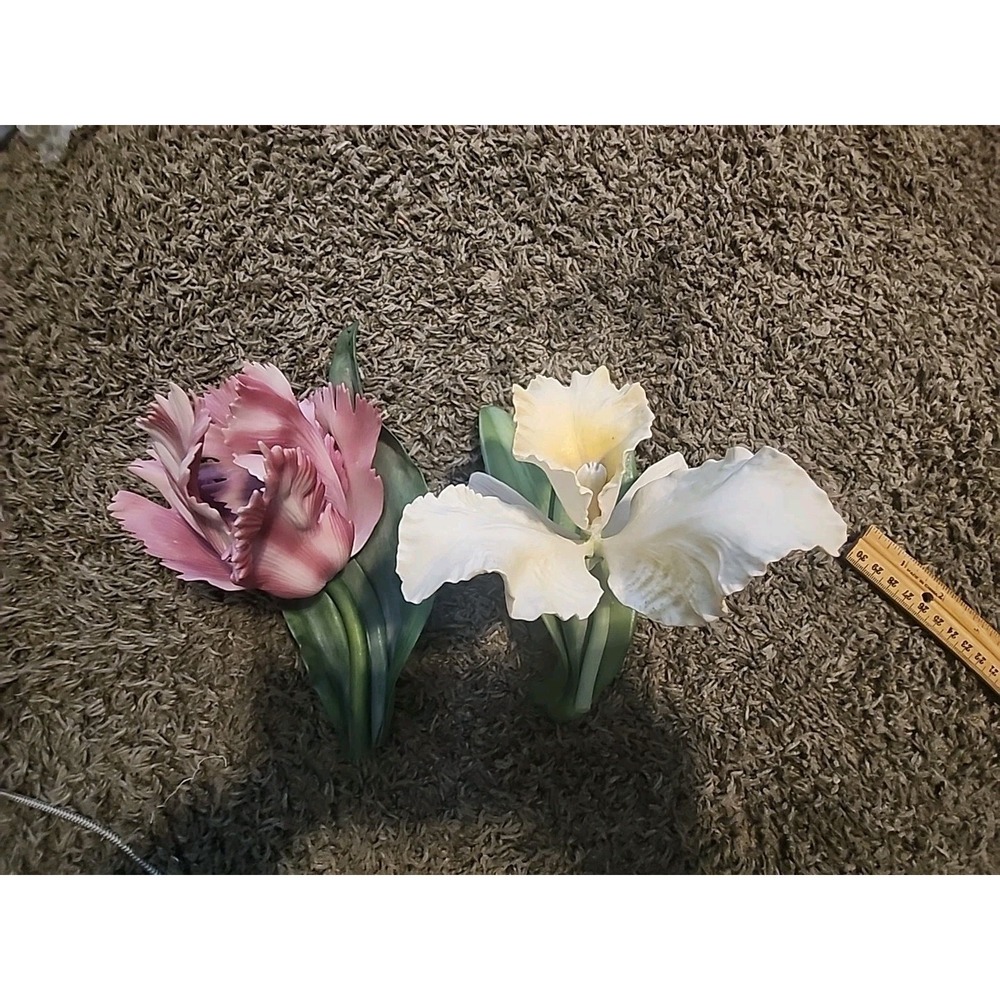 Set Of 2, Ronald Van‎ Ruyckevelt, Bells Orchid(damaged), Parrot Tulip.
